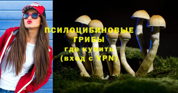 мескалин Вяземский