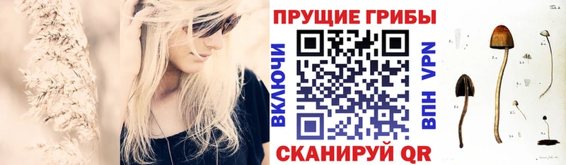 Галлюциногенные грибы GOLDEN TEACHER  где найти наркотики  Рассказово 